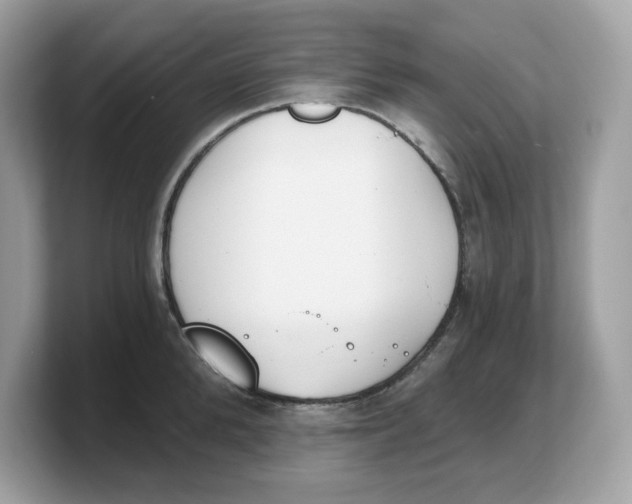 X0000103230904200809181521