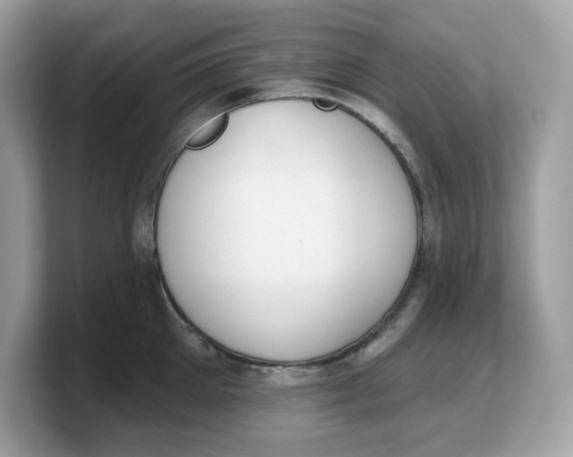 X0000103230905200809181521