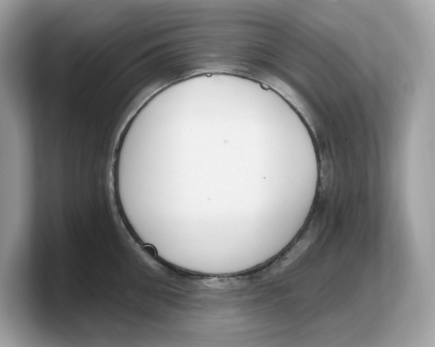 X0000103230906200809181521
