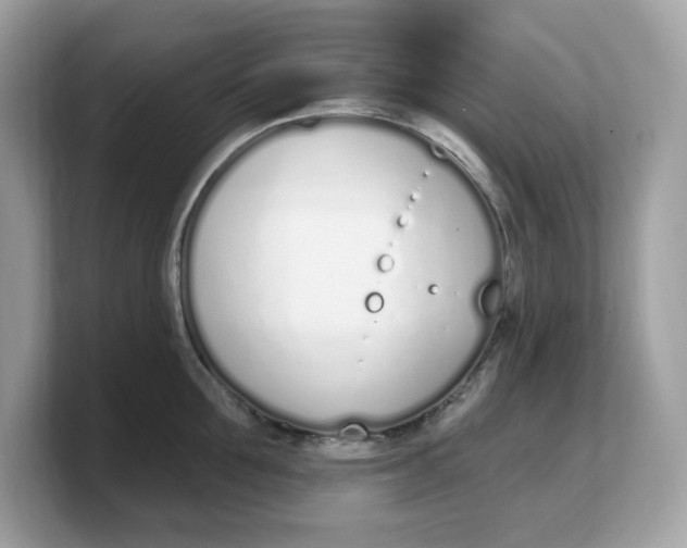 X0000103230907200809181521