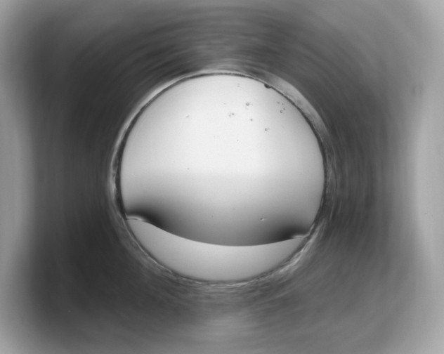 X0000103230908200809181521