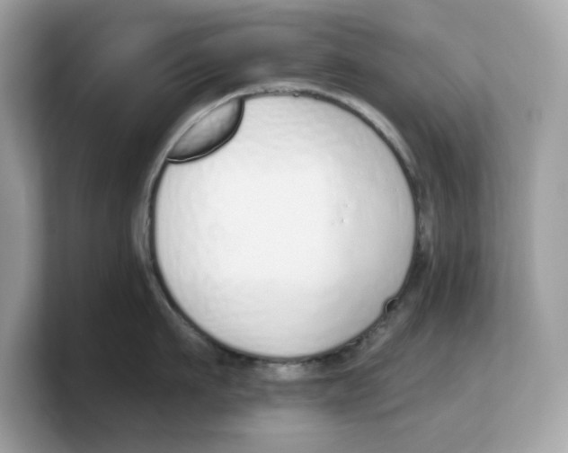 X0000103230911200809181521