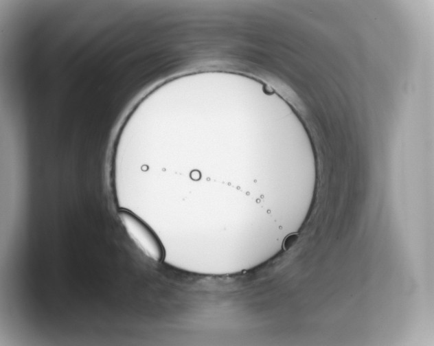 X0000103230912200809181521