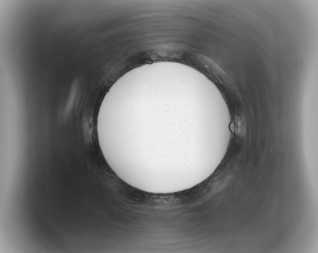 X0000103230915200809181521