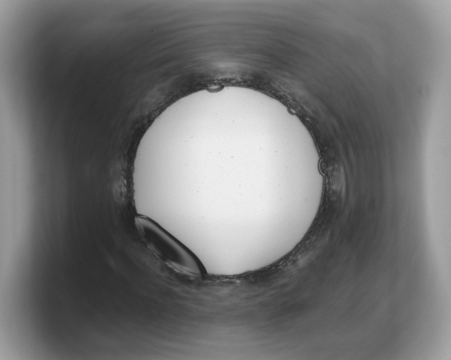 X0000103230916200809181521