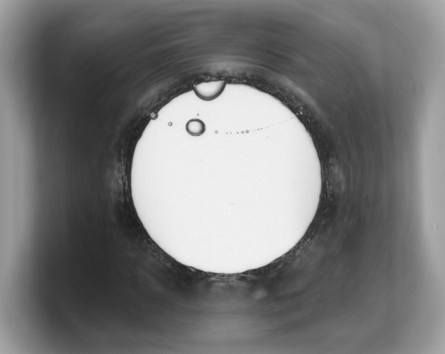 X0000103230918200809181521