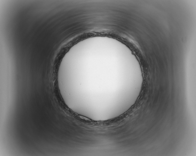 X0000103230920200809181521