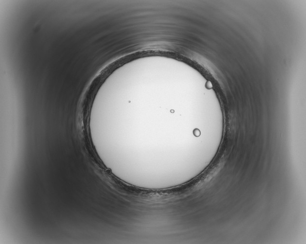 X0000103230923200809181521