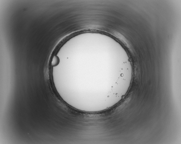 X0000103230924200809181521