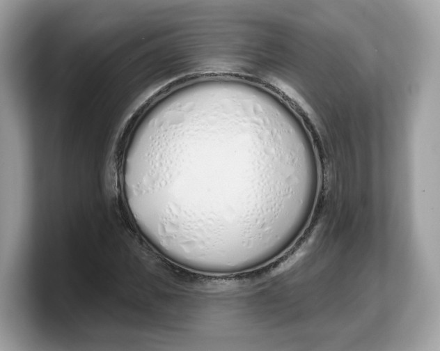 X0000103230925200809181521