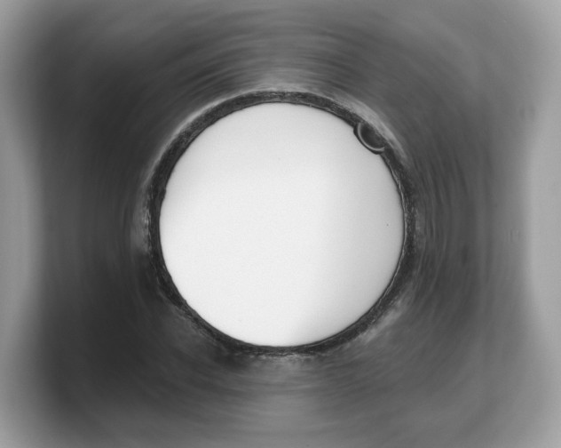 X0000103230926200809181521
