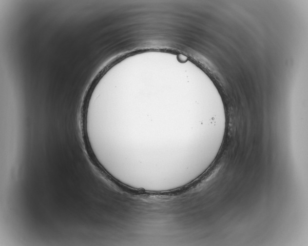 X0000103230942200809181521