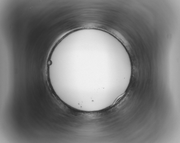 X0000103230948200809181521