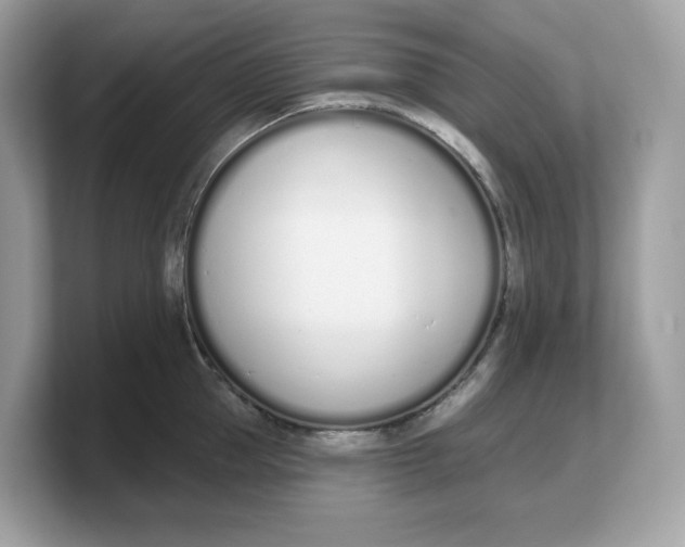 X0000103230953200809181521