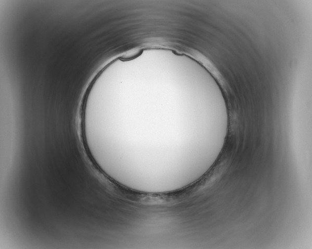 X0000103230955200809181521
