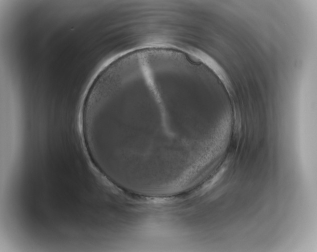 X0000103230958200809181521