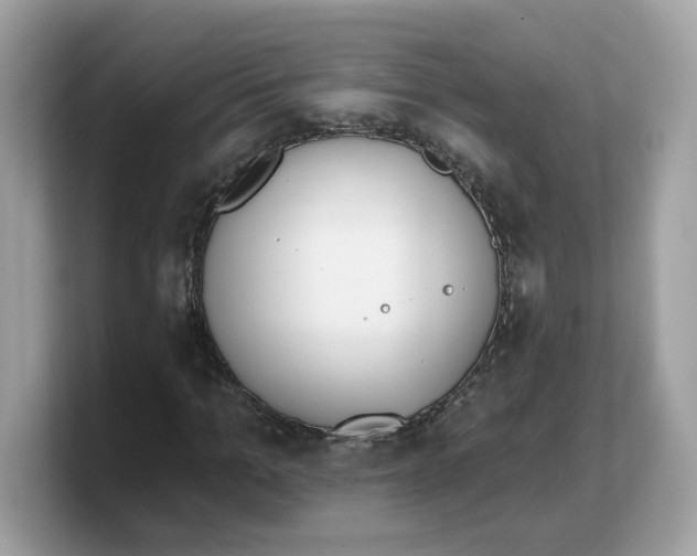 X0000103230965200809181520