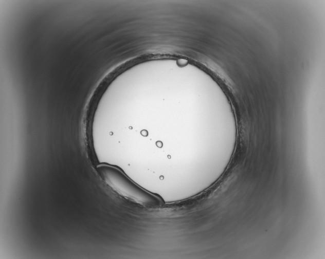 X0000103230976200809181520