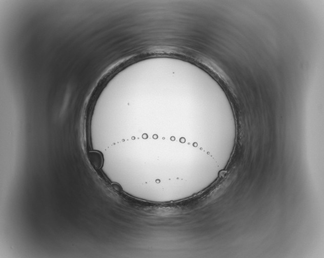 X0000103230984200809181520