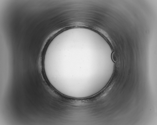 X0000103230987200809181520