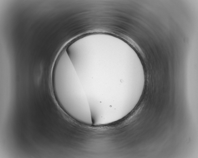 X0000103230988200809181520