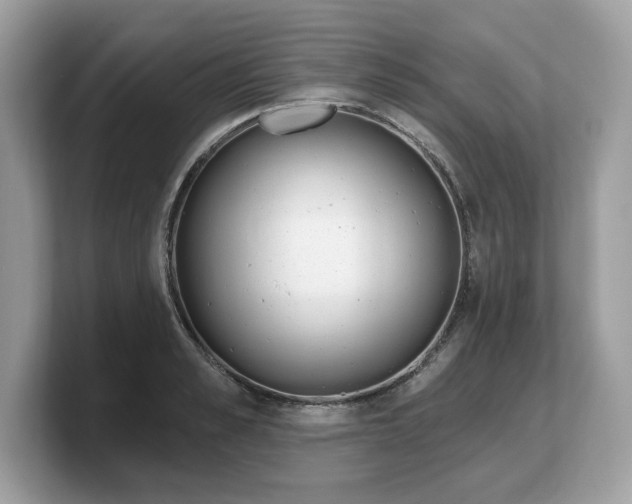 X0000103230989200809181520