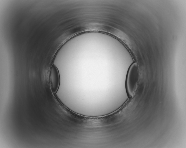 X0000103230993200809181520