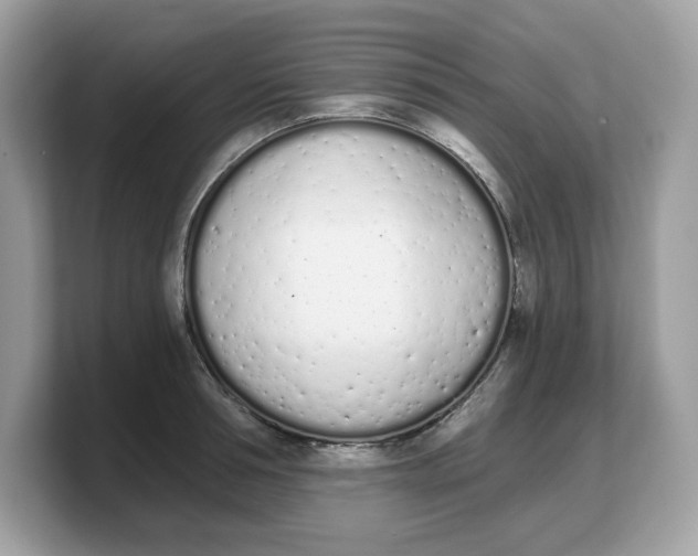 X0000103230994200809181520