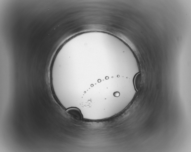 X0000103230996200809181520