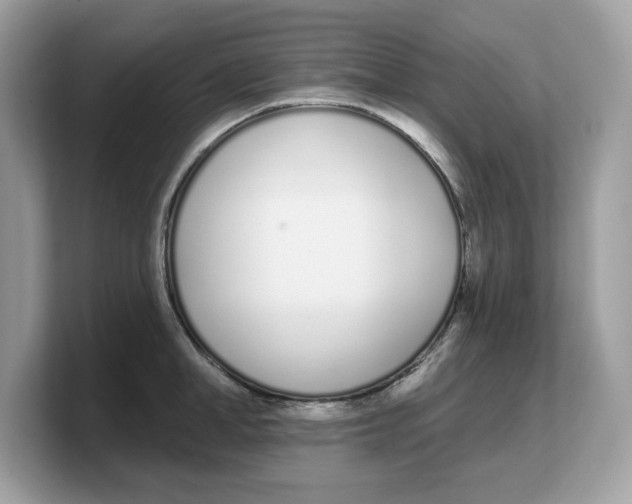 X0000103230998200809181520