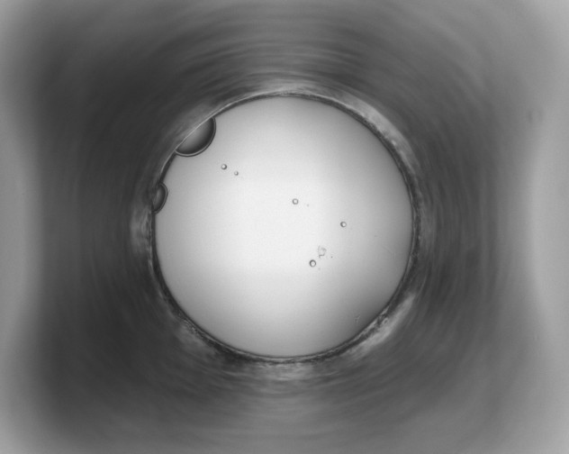 X0000103231001200809181520