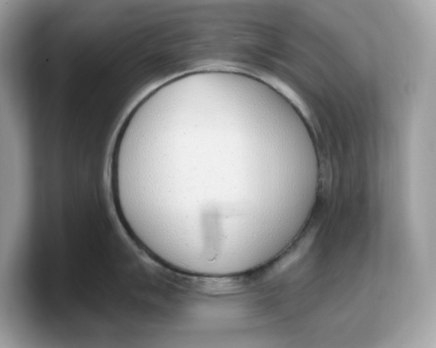 X0000103231007200809181520