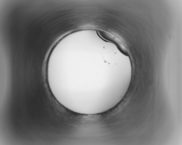 X0000103231008200809181520