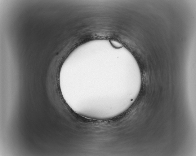X0000103231009200809181519