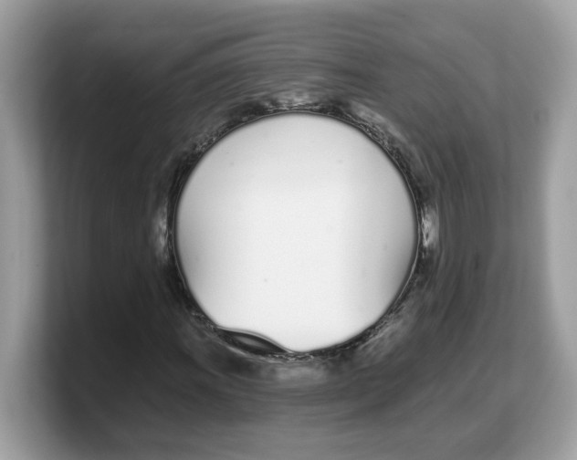 X0000103231011200809181519
