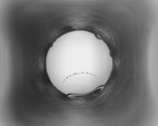 X0000103231012200809181519