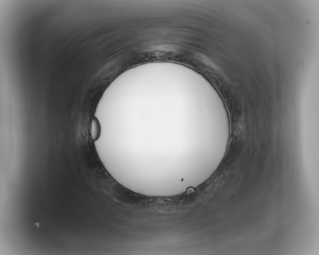 X0000103231014200809181519