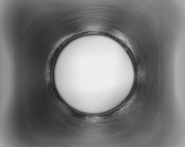 X0000103231019200809181519