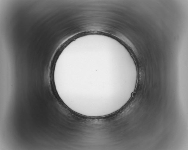 X0000103231020200809181519