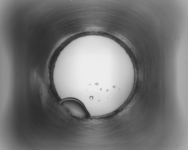 X0000103231022200809181519