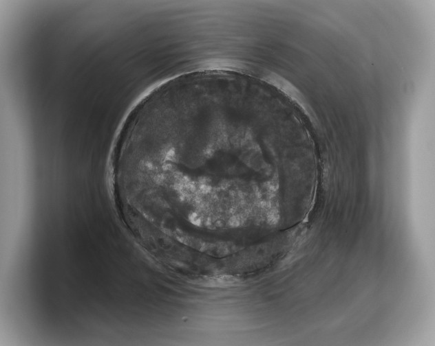 X0000103231024200809181519