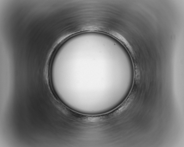X0000103231035200809181520