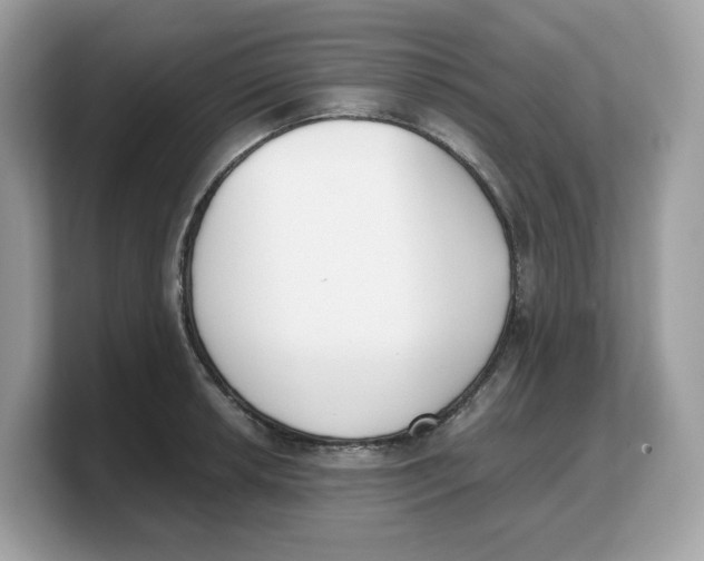 X0000103231042200809181520