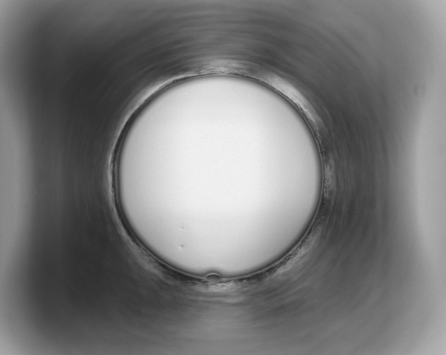 X0000103231047200809181520