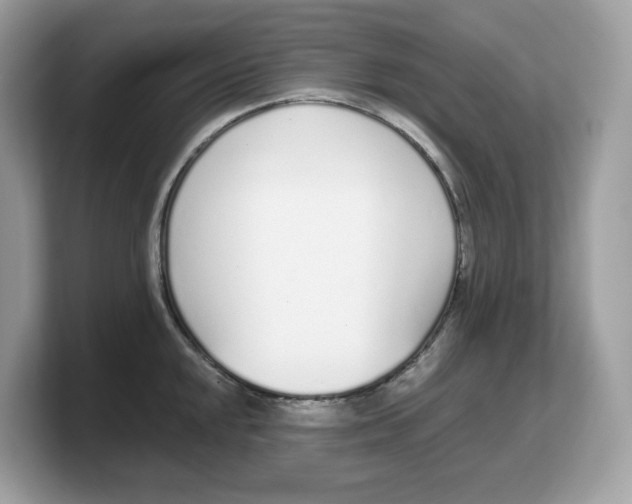 X0000103231048200809181520