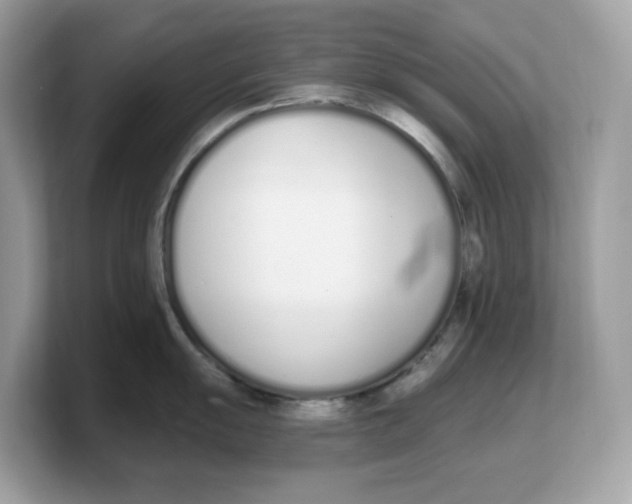 X0000103231055200809181520