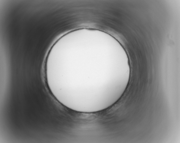 X0000103231056200809181520