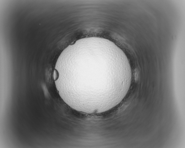 X0000103231059200809181519