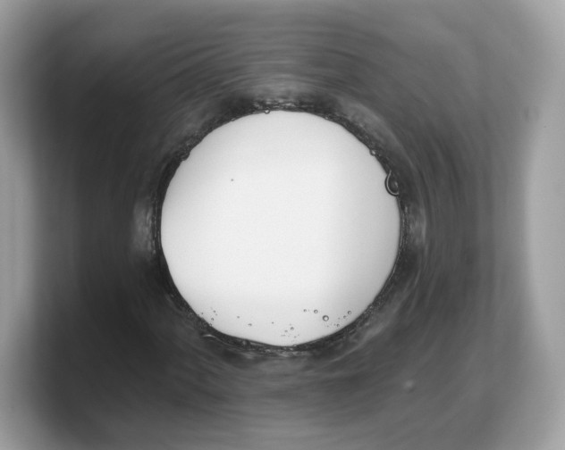 X0000103231060200809181519