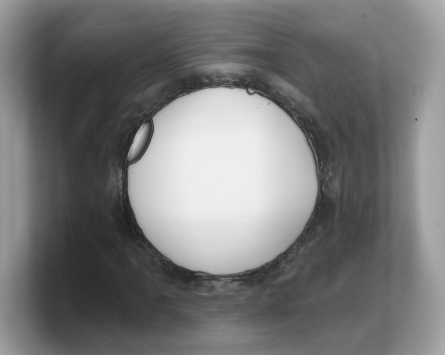 X0000103231061200809181519